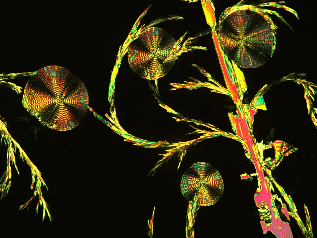A black background with plant-like, green, tendril sprouts. On the left side these tendrils sport a circle with a spinning look, almost like a fan, with the colors of red, yellow, green, and black to contribute to the feeling of movement. On the right side a large, green and pink to reddish hue stem sprouts diagonally. Tendrils come from the stem curved and like tree branches. It sports three of the circle fans as seen on the left.